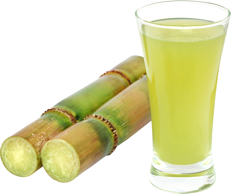 Piece of Sugarcane Juice