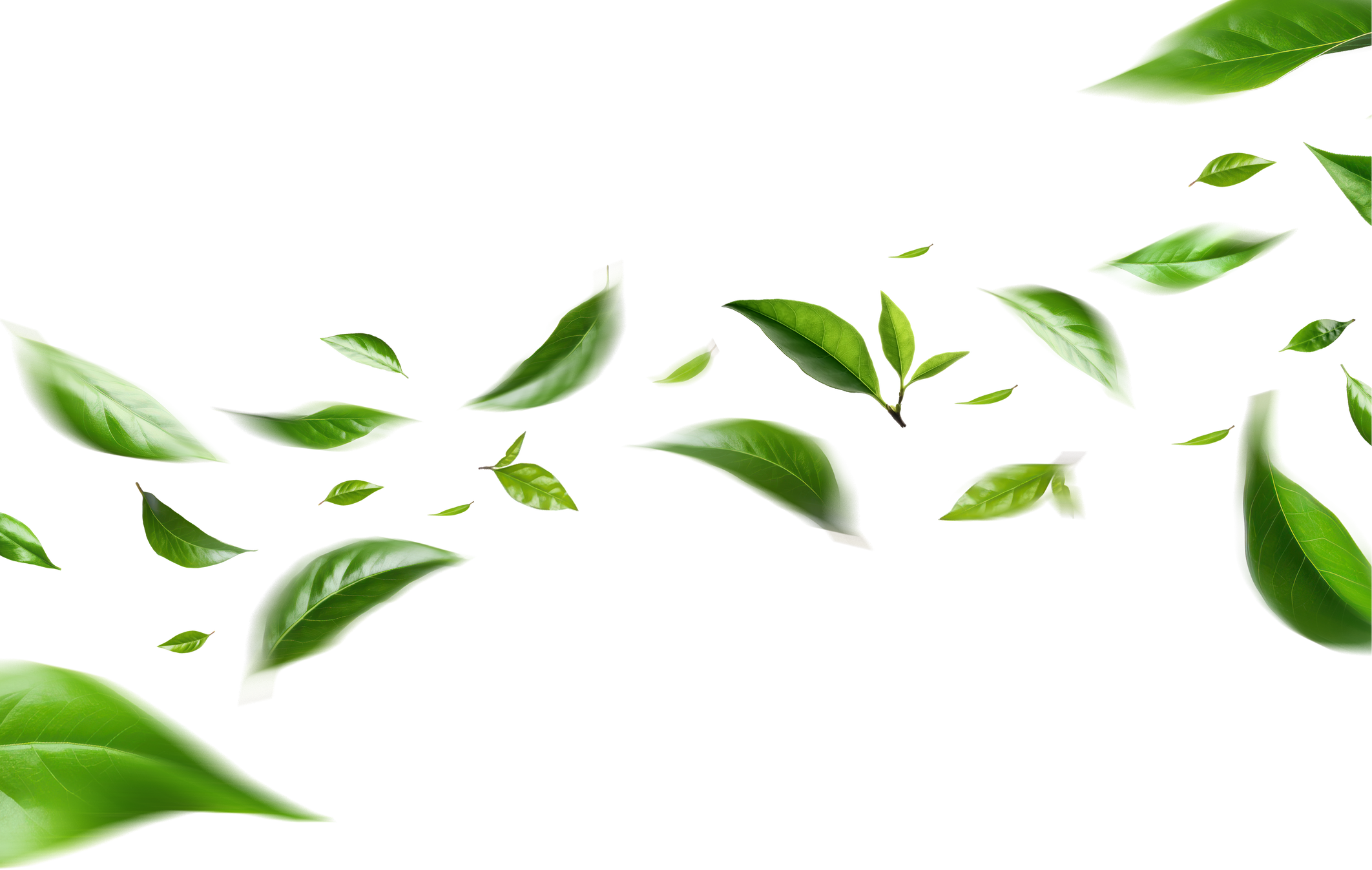 Green Floating Leaves Flying Leaves Green Leaf Dancing, Air Purifier Atmosphere Simple Main Picture&#x9;